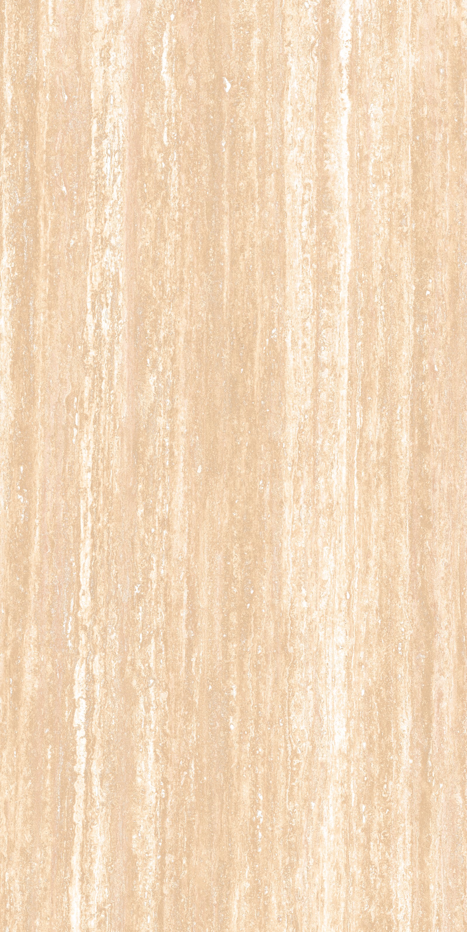 shop-2_01